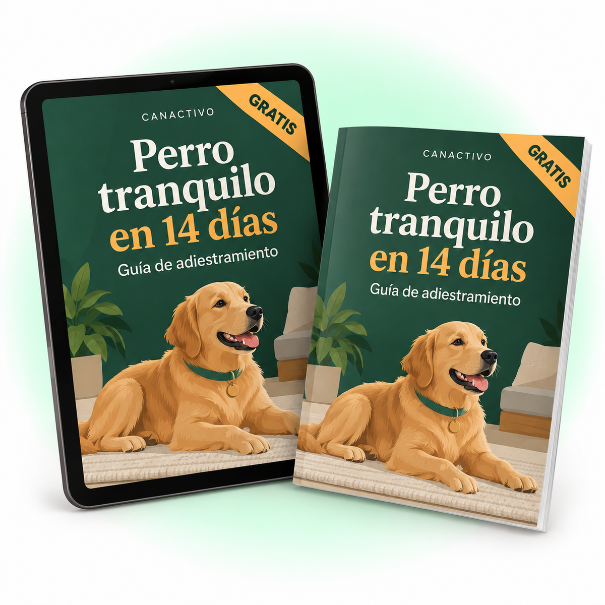 guia maqueta